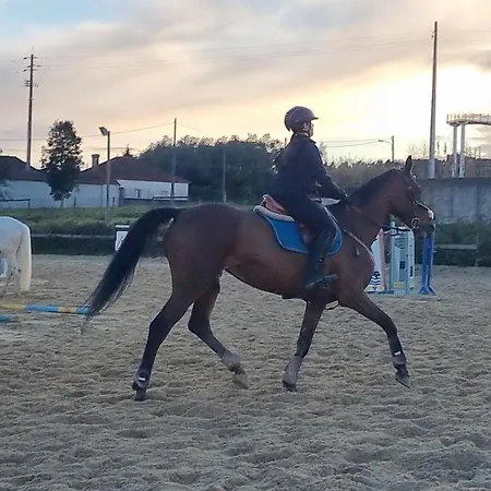 Lejlighed Castelo Terrace